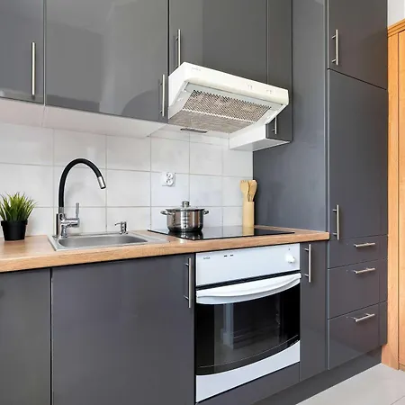 Modern Close To The Old Market Square And The Warta River By Renters