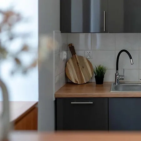 公寓 Modern Close To The Old Market Square And The Warta River By Renters *