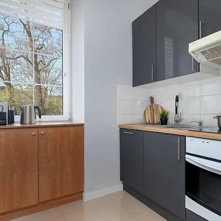 Modern Close To The Old Market Square And The Warta River By Renters